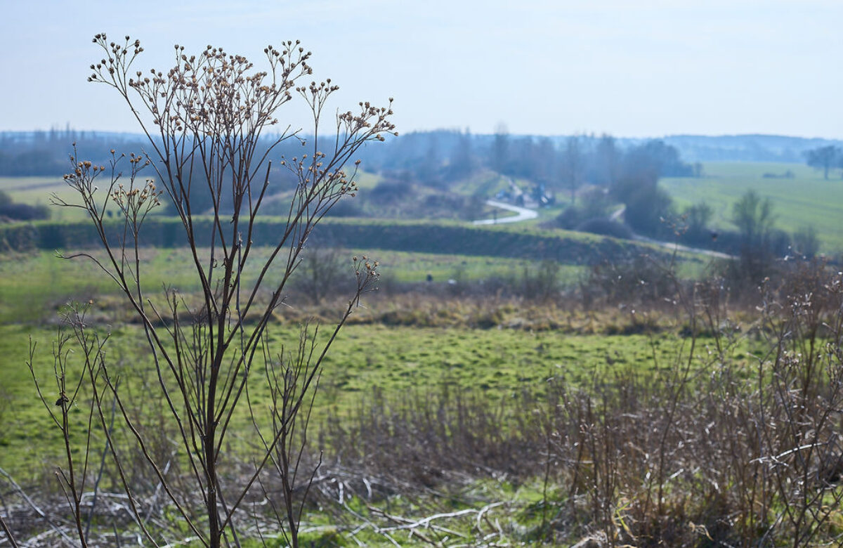 Lo res EE Notley Feb25 940