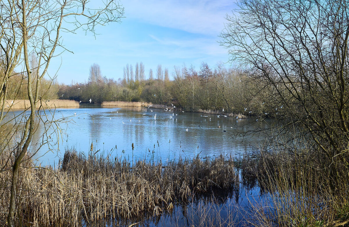 Lo res EE Notley Feb25 959