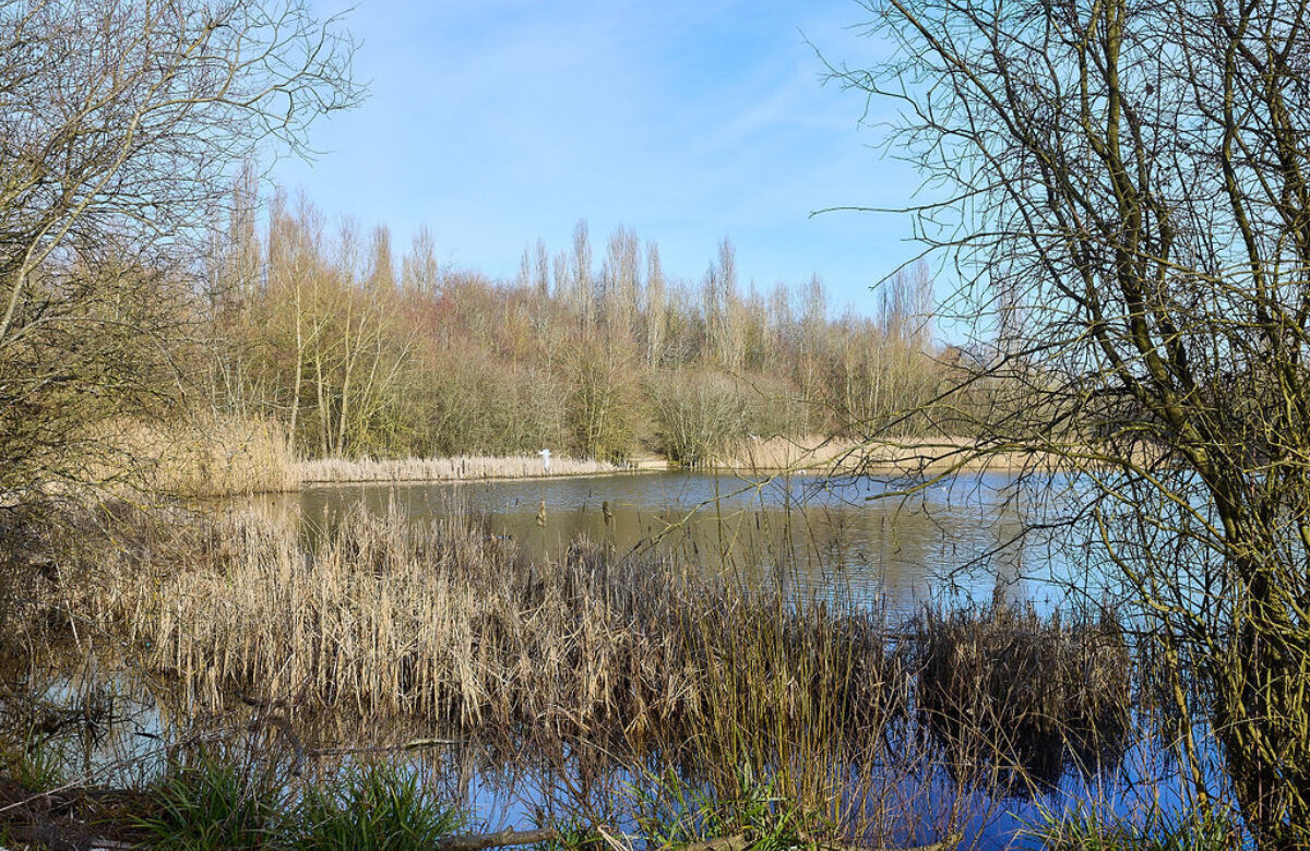 Lo res EE Notley Feb25 962