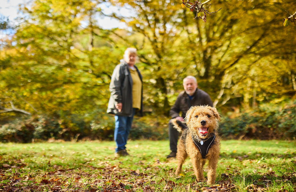 Lo res EE Thorndon Oct24 488