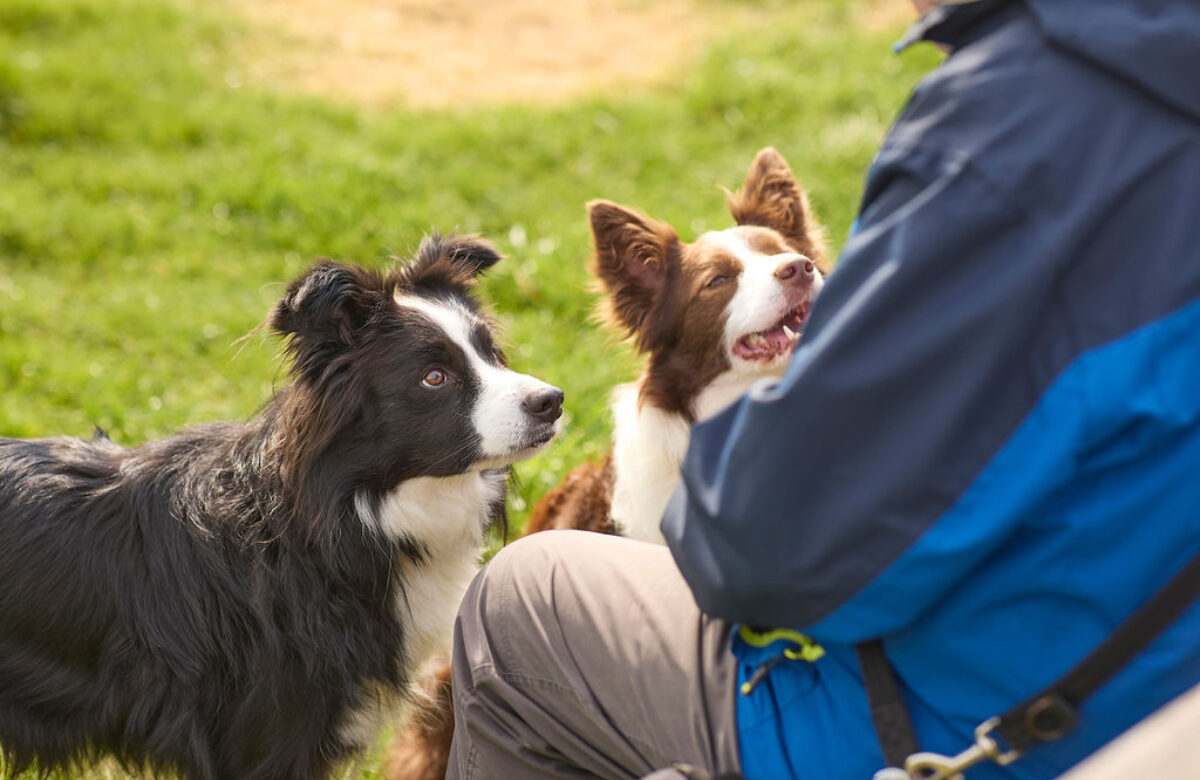 Lo res Explore Essex Cudmore Apr23 029