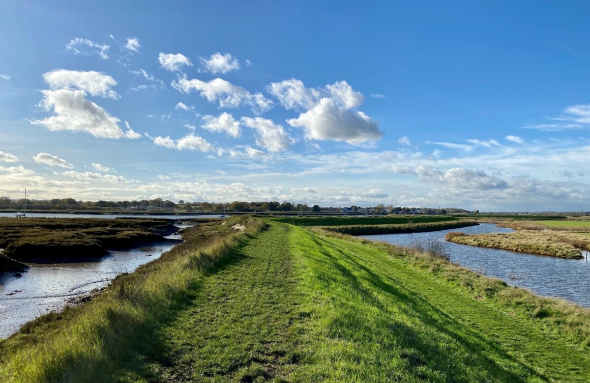 Marsh farm river 3 SF