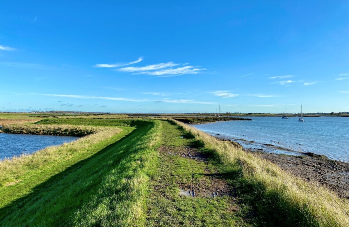 Marsh farm river2 SF