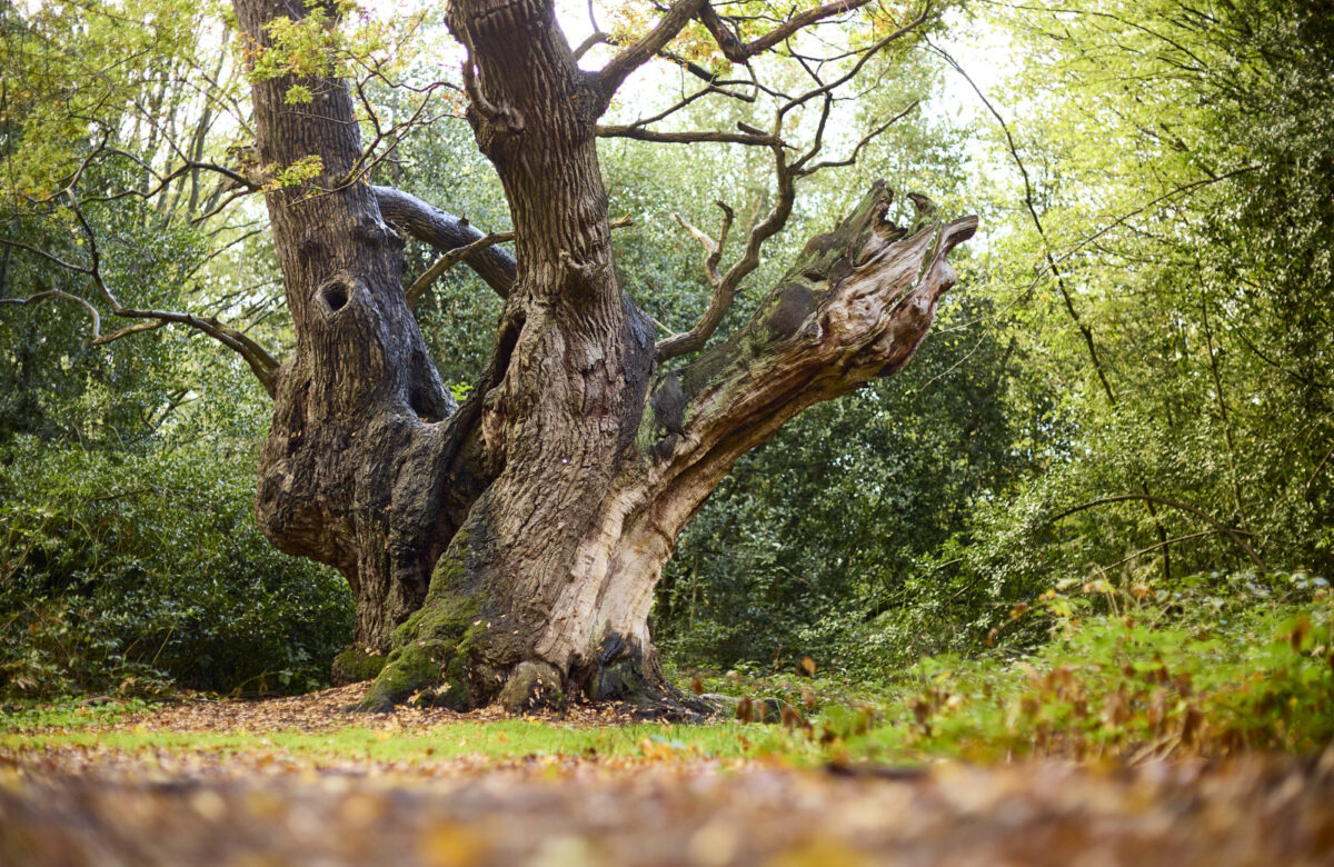 Med res ECP Danbury Sept22 0005