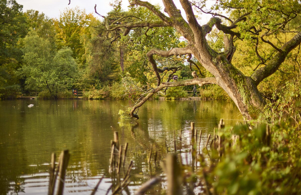 Med res ECP Danbury Sept22 0026