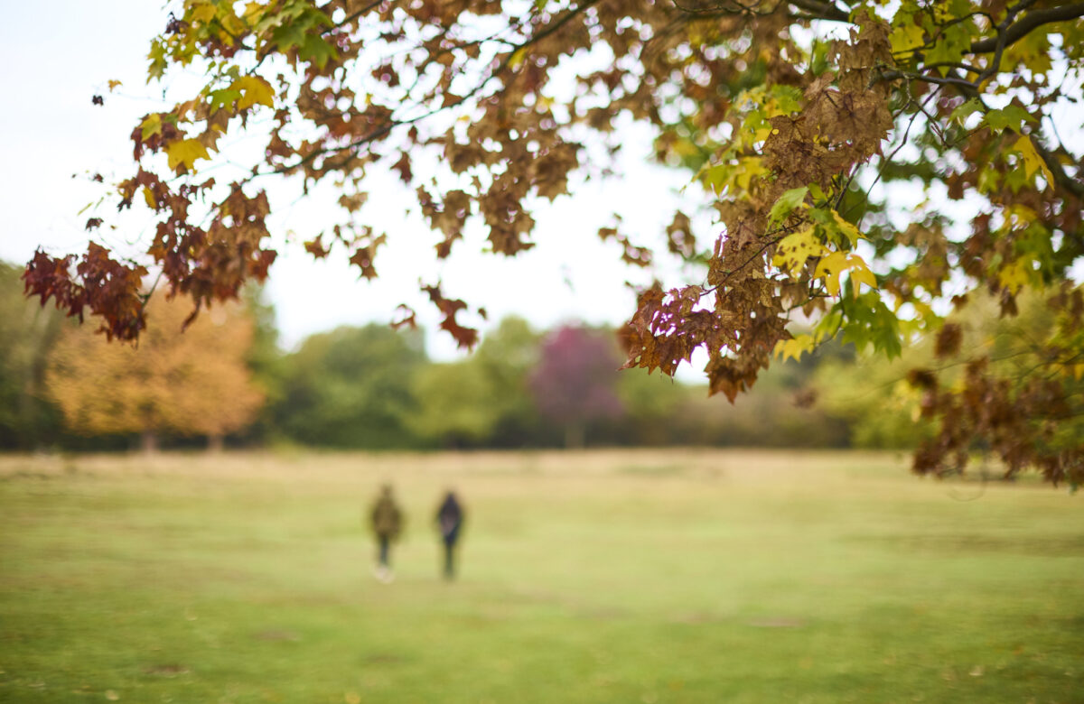 Med res ECP Danbury Sept22 0049