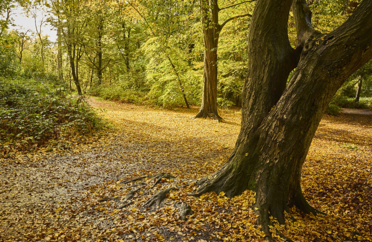 Med res ECP Danbury Sept22 0971