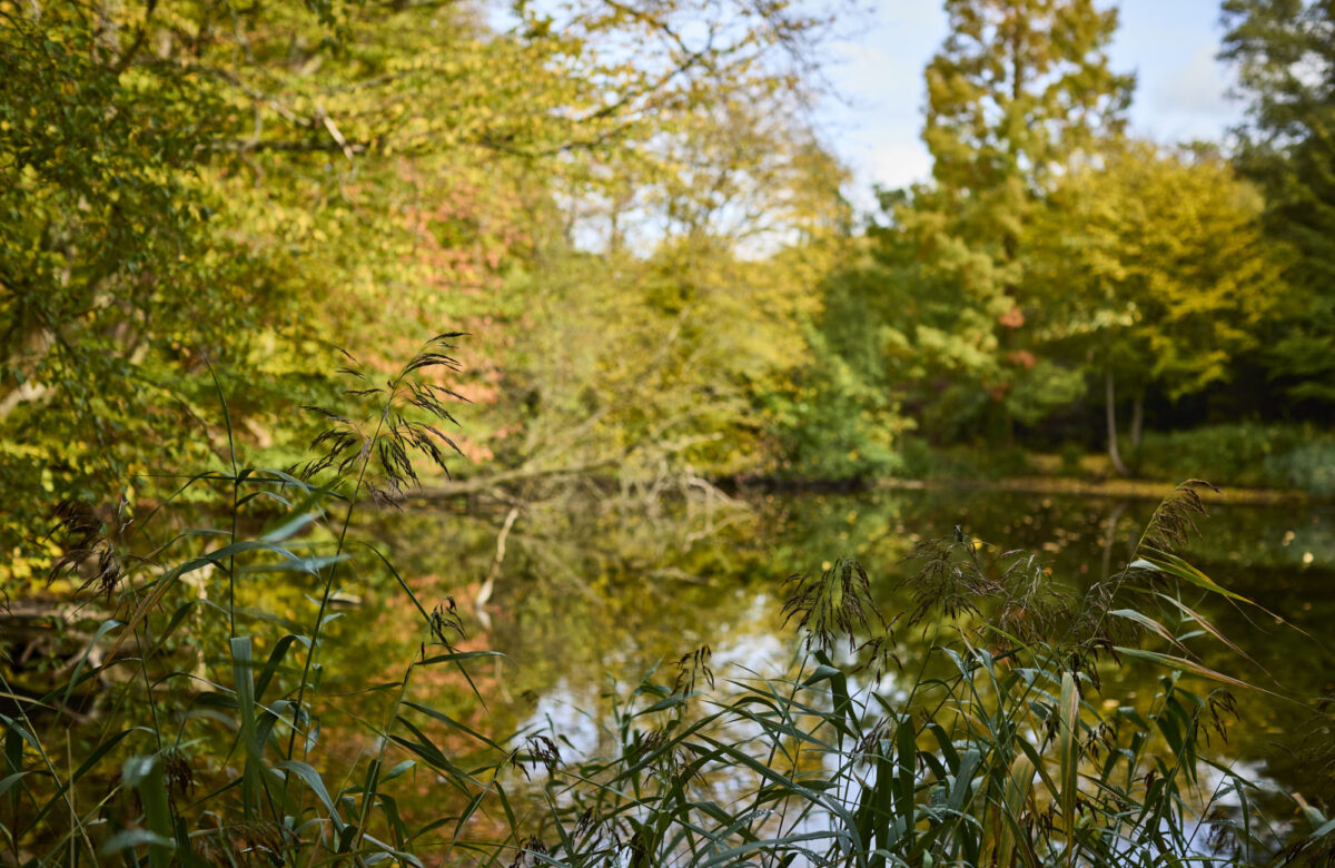 Med res ECP Danbury Sept22 1012