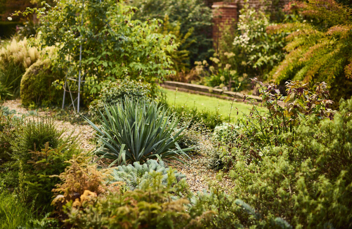 Med res ECP Danbury Sept22 1045