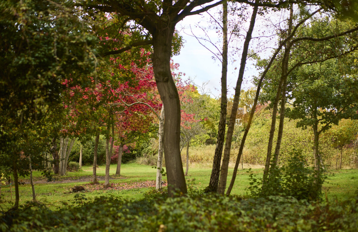 Med res ECP Danbury Sept22 1056