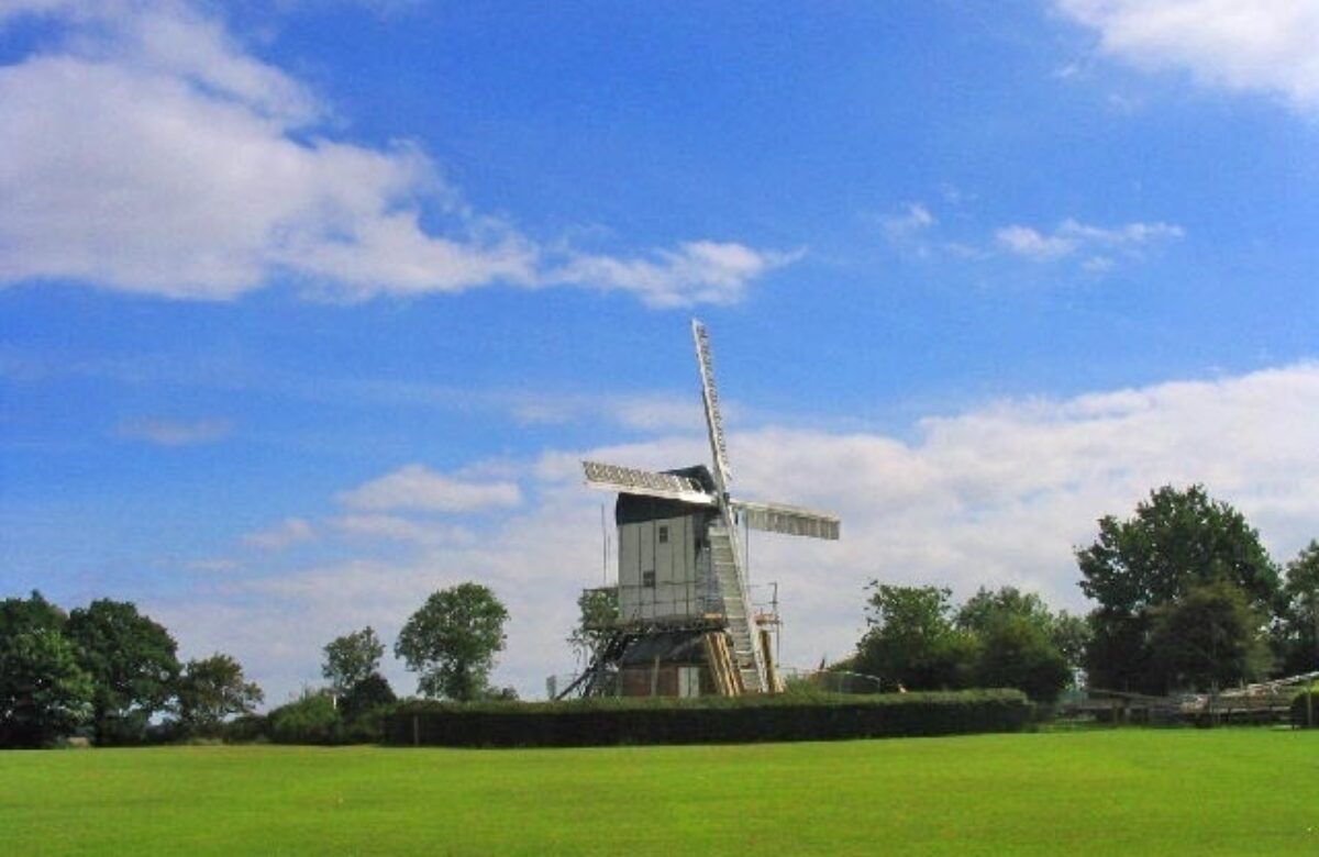 Mountnessing Mill from a distance