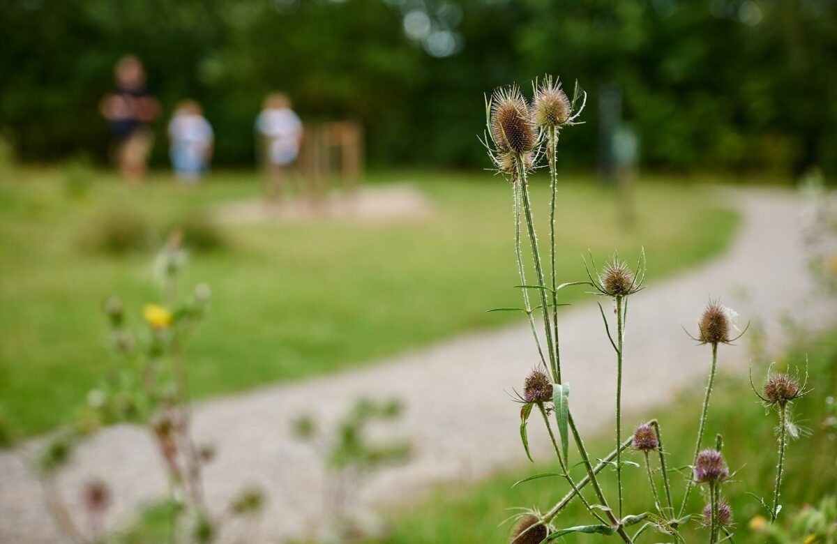 The paths and space at Great Notley