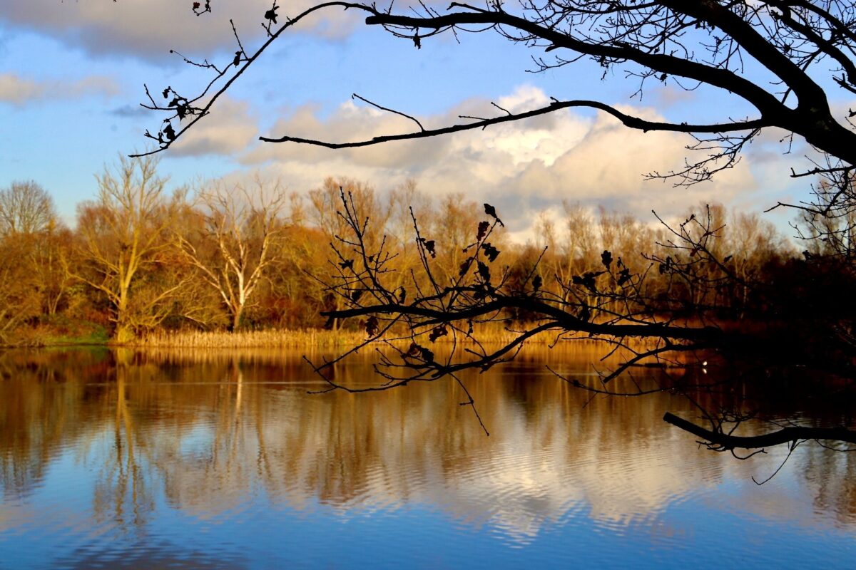 Our parks and places