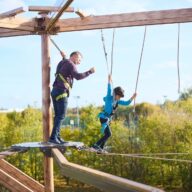 Let happiness bloom by planting flowers