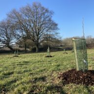 Getting Fruity: New Community Orchards planted at the Essex Country Parks