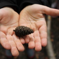The Very Hungry Caterpillar Day