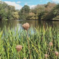 Danbury Country Park