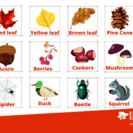 Autumn Scavenger Hunt