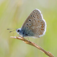 Celebrate World Photography Day with photographer Andrew Adams