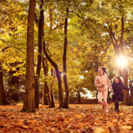 Essex County Council Explore Essex Artist Commission 2022