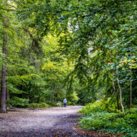 23 ways to Explore Essex for 2023