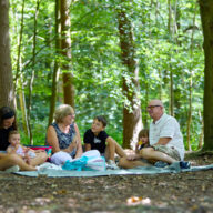 Best Picnic Spots in the Parks