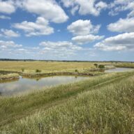 3 Wetland and Wildlife Walks