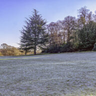 5 Wonderful Weekday Winter Walks