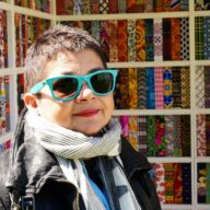 Welcome to Essex:  A sculptural installation by Lata Upadhyaya (Chelmsford Library)