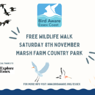 Free wildlife walk at Marsh Farm Country Park