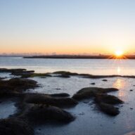 Four Romantic Park Walks in Essex