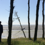 Landscape Imaginary - Cudmore Grove Map