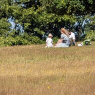 Best summer picnic spots at the Essex Country Parks