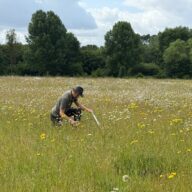 Candidate Pack: Ranger, Belhus Woods Country Park