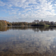 A year in the life of a country park