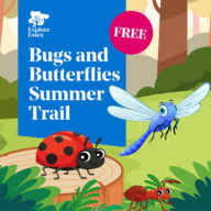 Bugs and Butterflies Summer Trail at Hadleigh Country Park