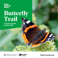 Butterfly Trail at Belhus Woods Country Park