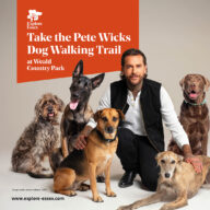 Discover the new ‘Pete Wicks Dog Walking Trail’ at Weald Country Park