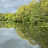 Three Wonderful Wetland Walks