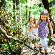 Summer Challenge 2020