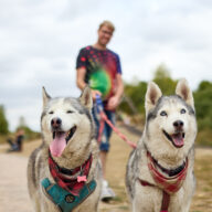Essex ‘Parks Pup Stars’ Competition 2026