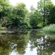 Danbury Country Park