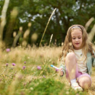 Storytimes in the Park: Hadleigh Country Park