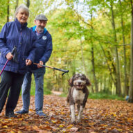 Explorer Pass Holder Terms and Conditions