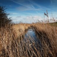 Marsh Farm Country Park