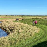 Five wonderful winter walks