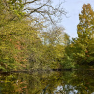 Danbury Country Park