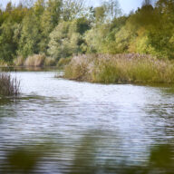 Great Notley Country Park
