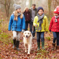 3 Fabulous Festive Walks