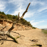Cudmore Grove Country Park